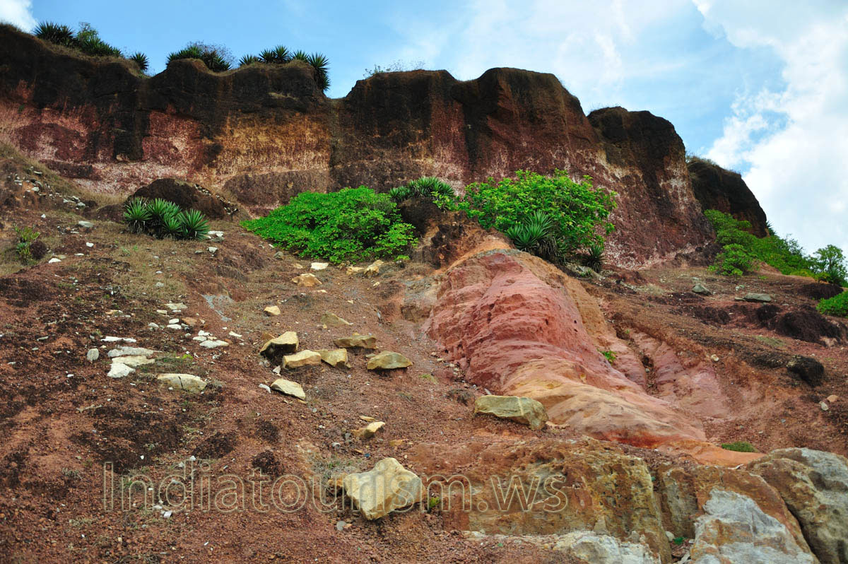 bright green plants grow on the brown cliffs