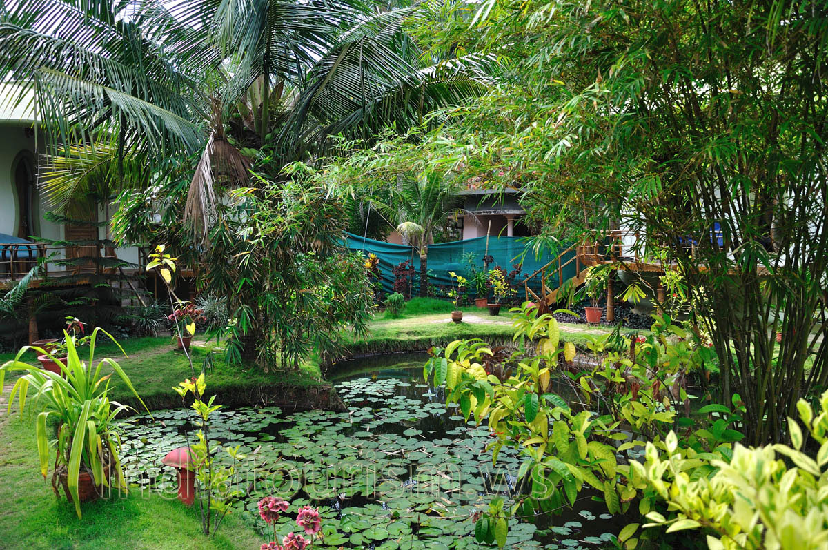 lush greenery of Eden Garden ayurvedic health retreat