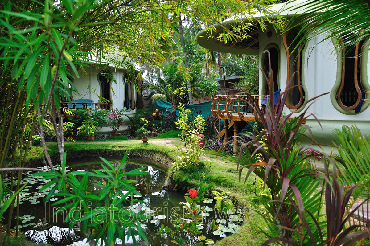 The water lily pond in the Eden Garden
