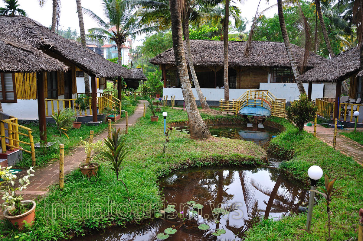Bridge over a small stream in a garden