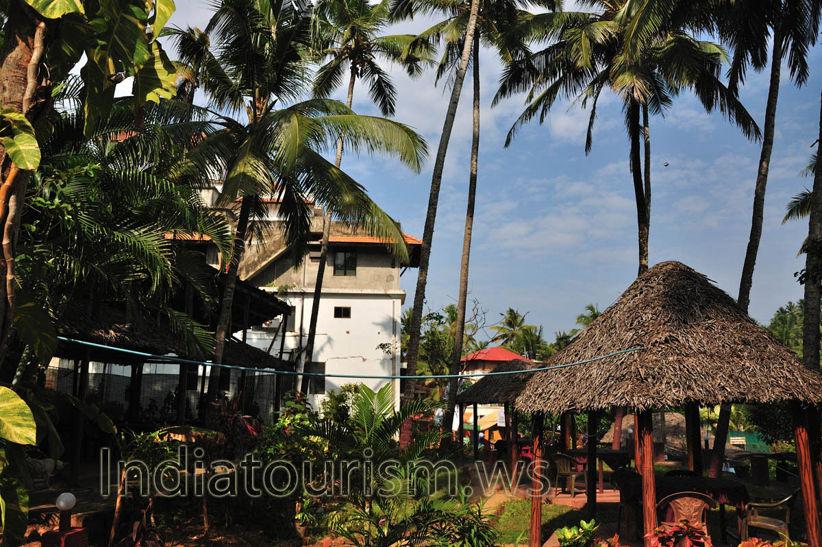 coconut palms over the Mamachompos restaurant