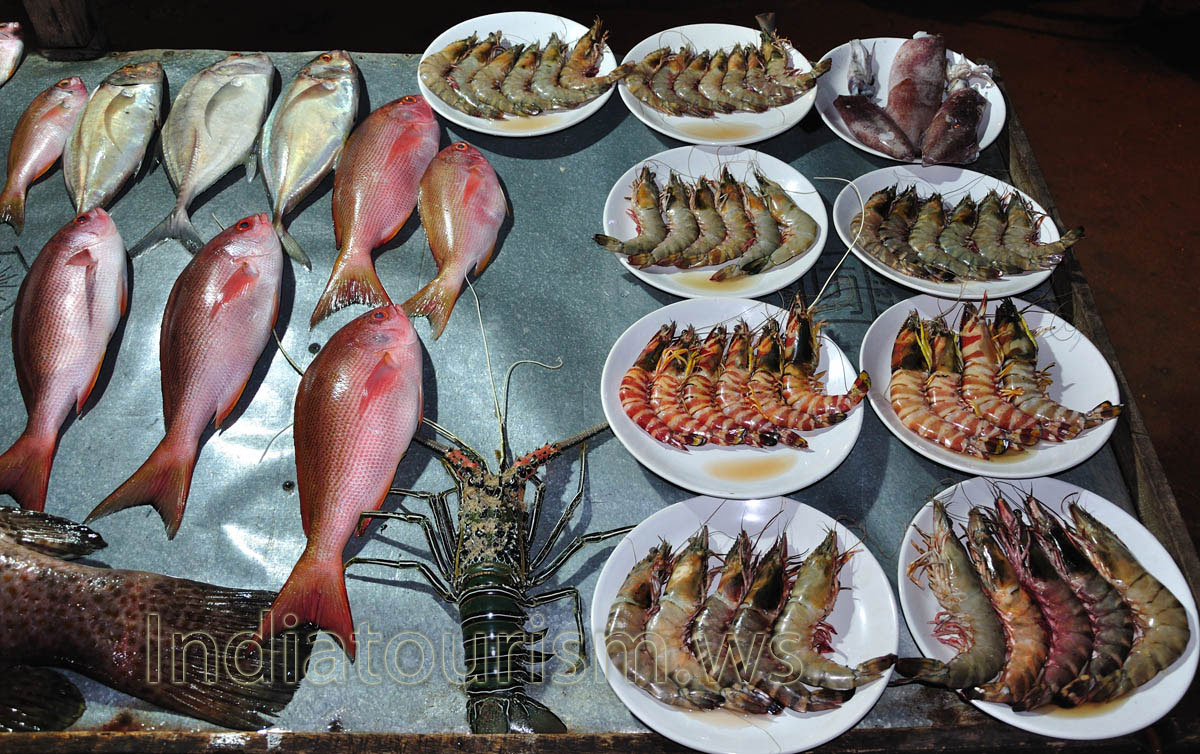 lobster, perches and prawns