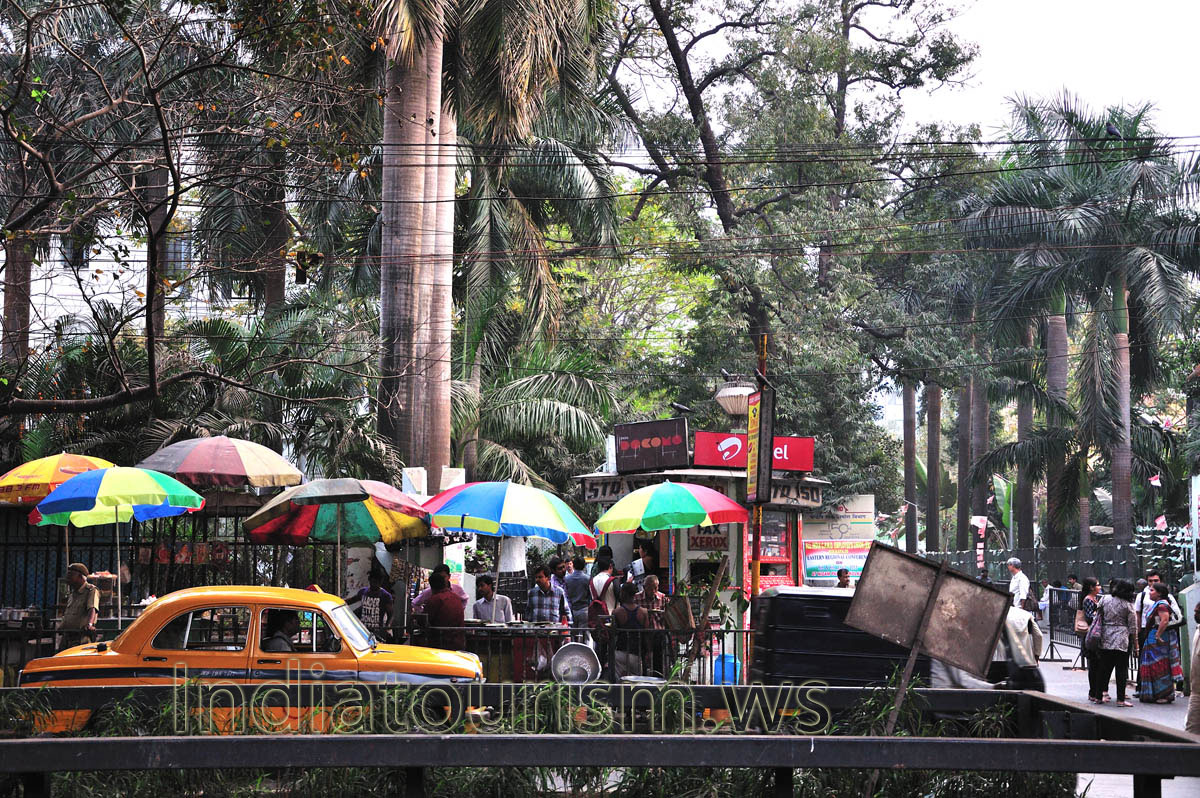 The way to A.J.C. Bose Road begins from Rabindra Sadan Metro Station along the State Highway