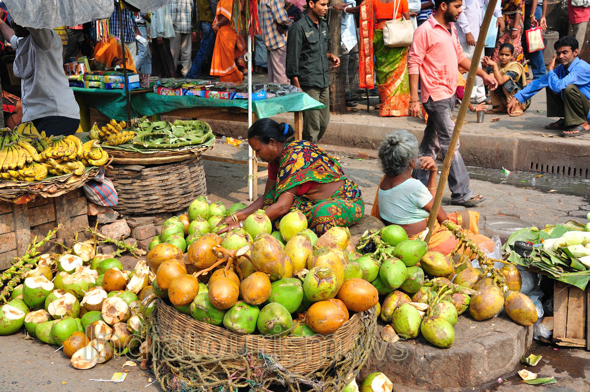 Sales of orange and green coconuts