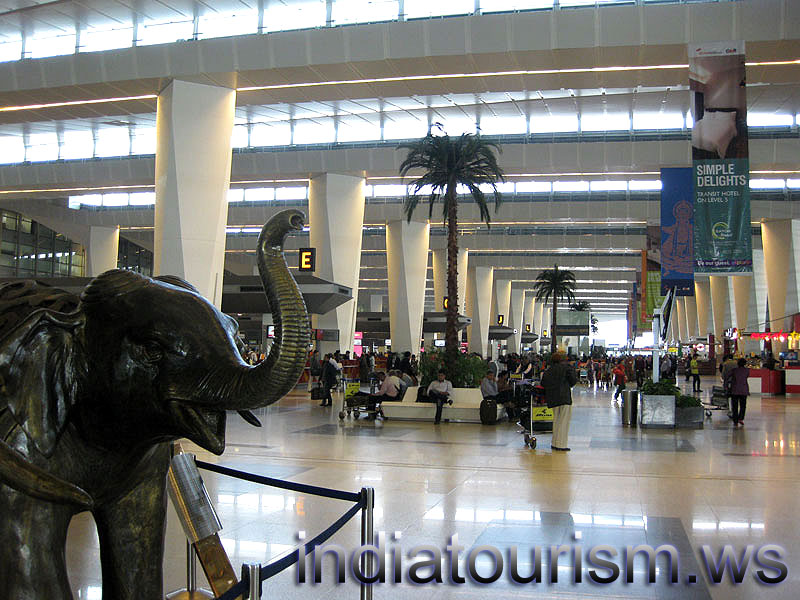 small elephant is near Terminal E