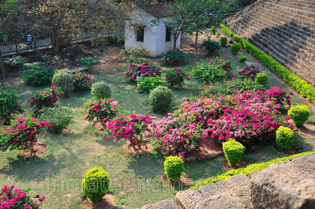 Bright flowers of Udayagiri
