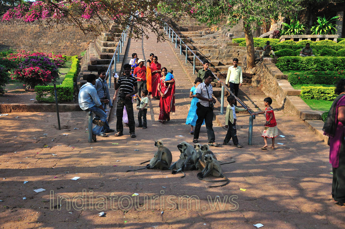 Monkeys are everywhere, here they are at the Udayagiri entrance