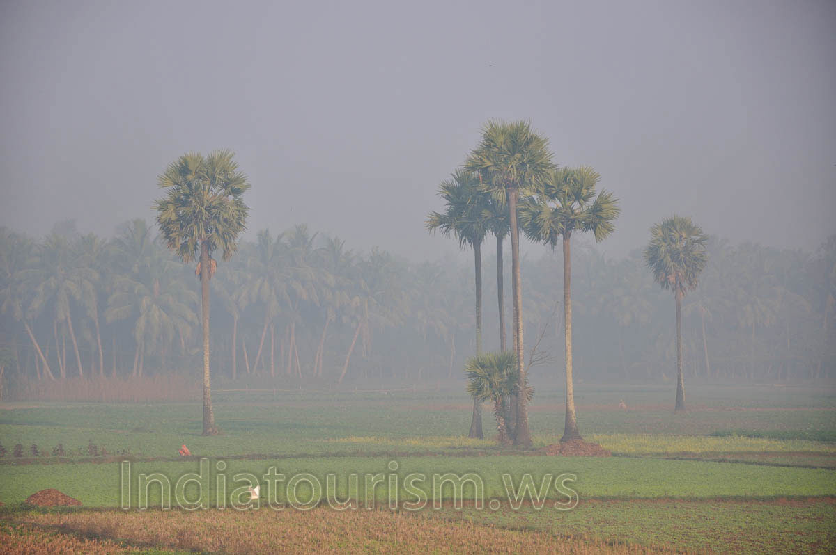 On the way from Puri to Bhubaneswar at 6 am