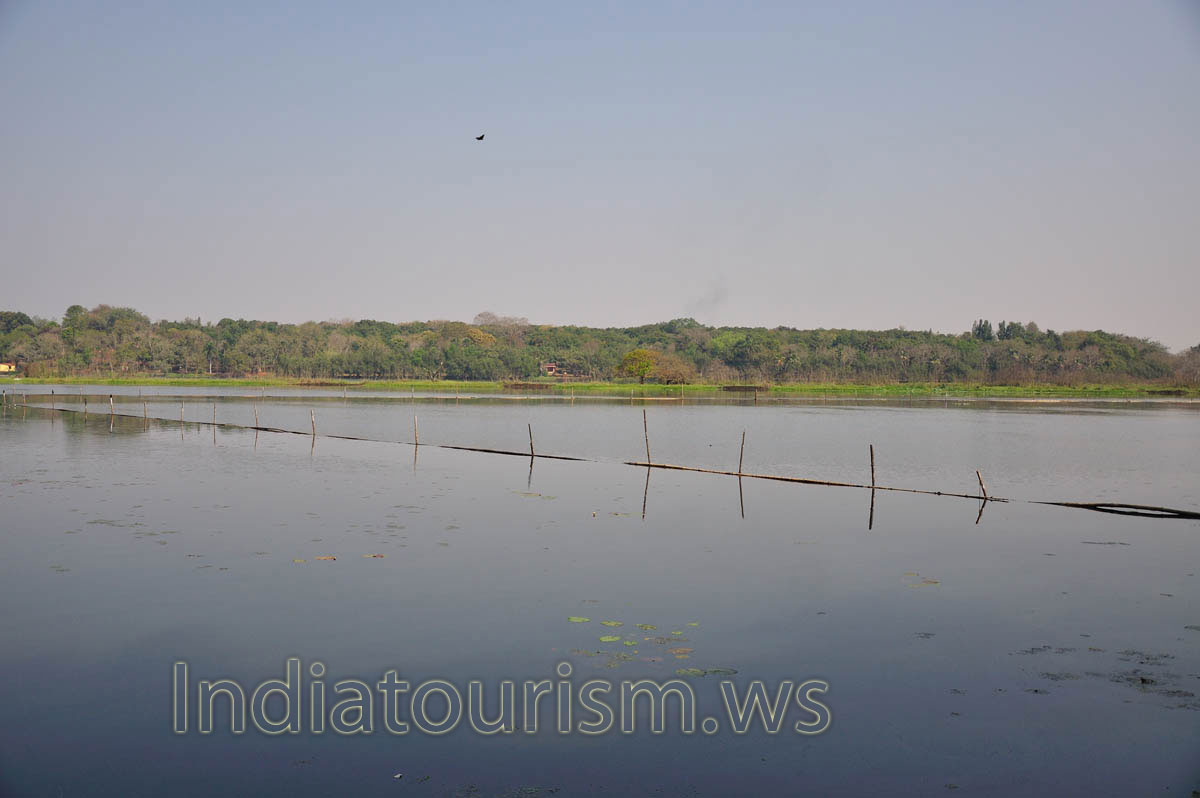 There is the lake in the zoo