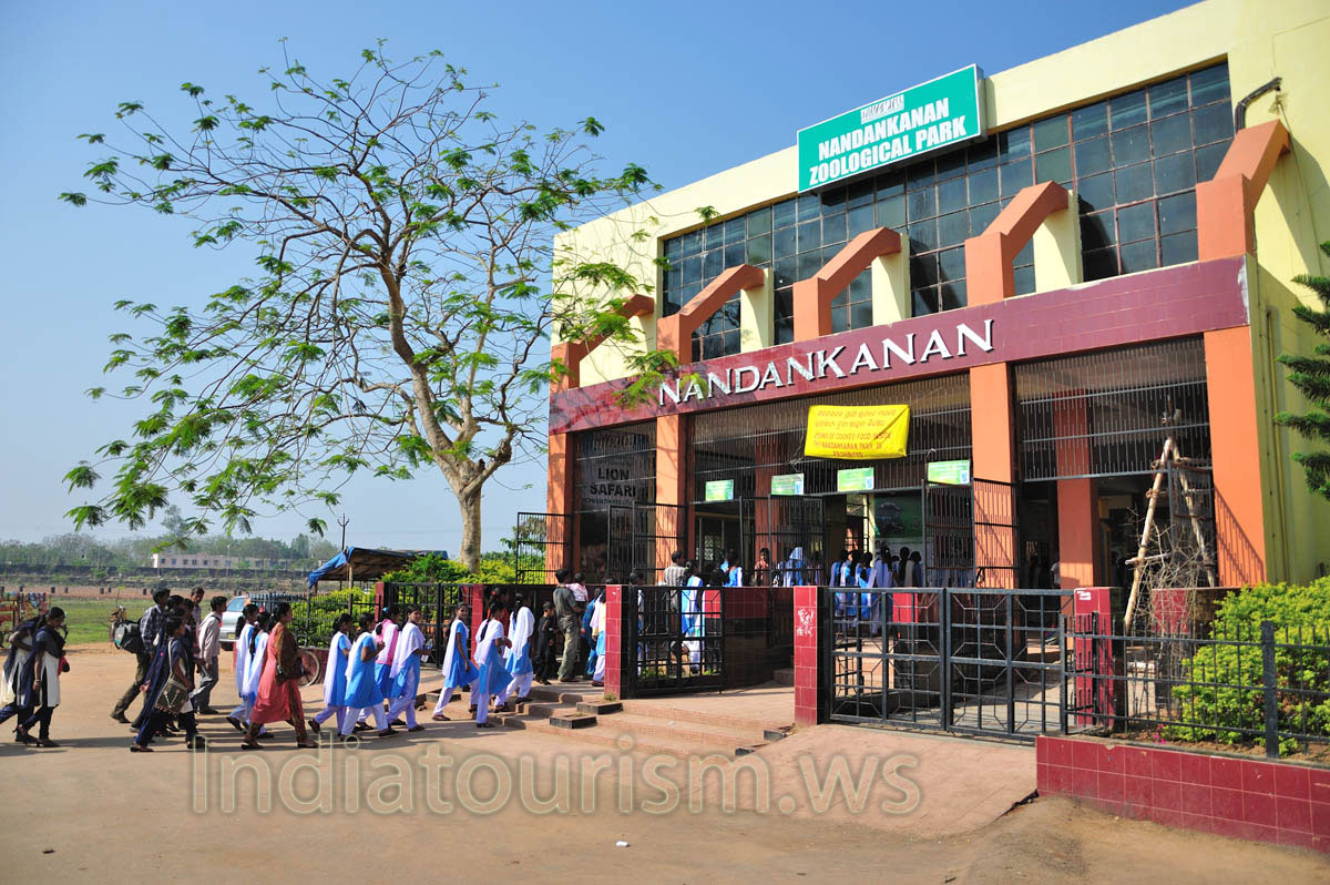 A large group of school children came to the Nandankanan zoo