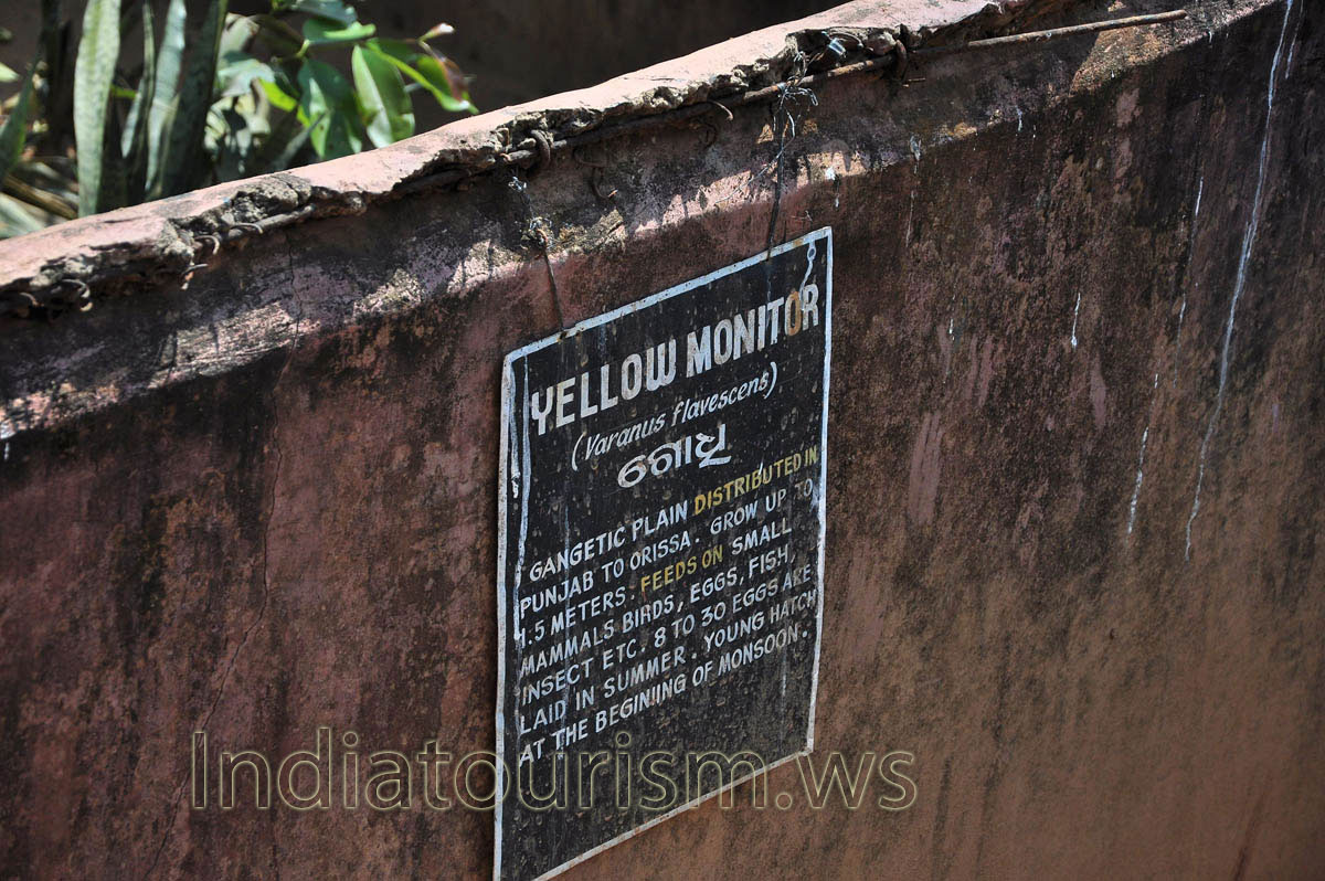 poster about yellow monitor