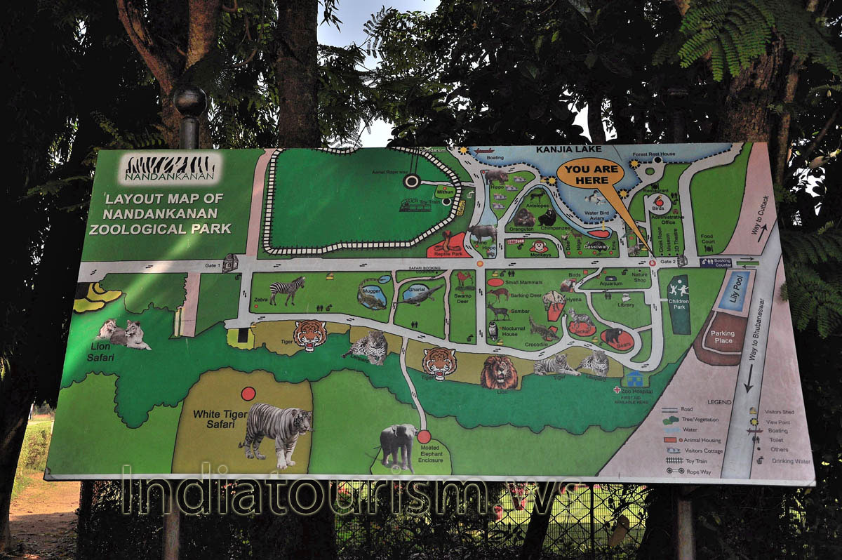 layout map of Nandankanan zoological park