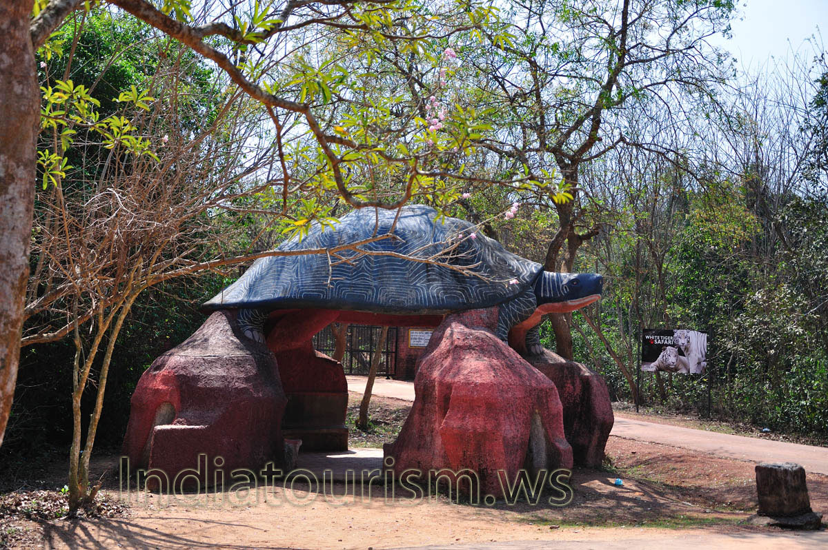 Artificial turtle before the entrance to White tiger safari