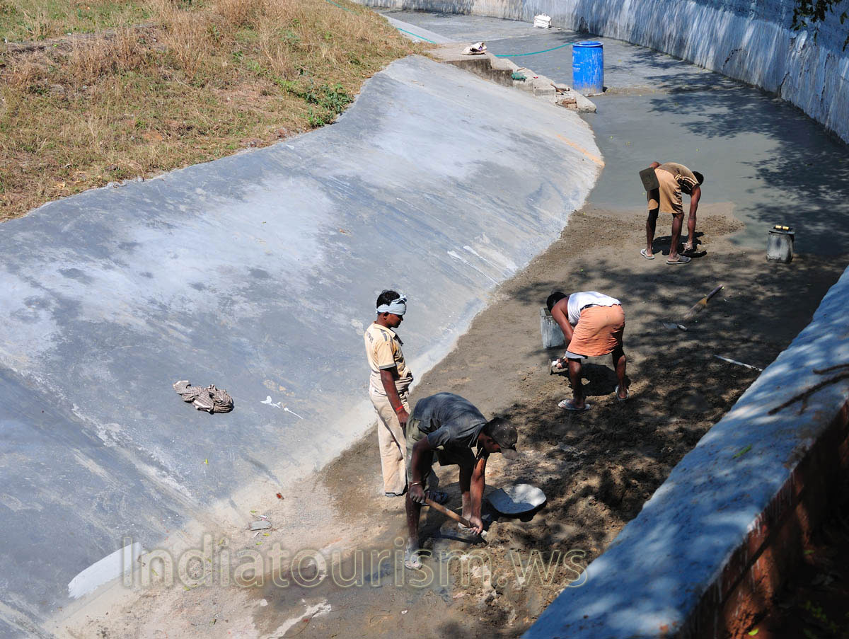 Restoration works in the aviary