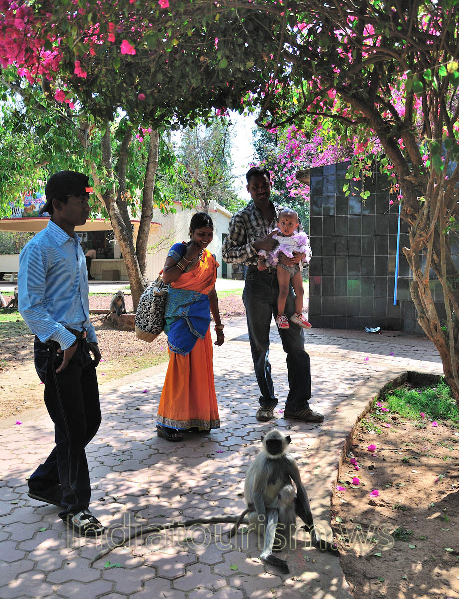 Monkey is the subject of interest for all - adults and children!