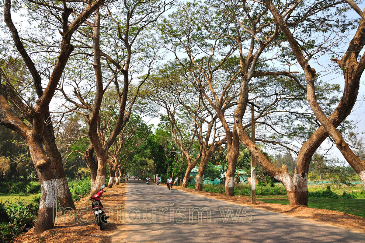 We leave Puri. The point of our destination is Chilika Lake.