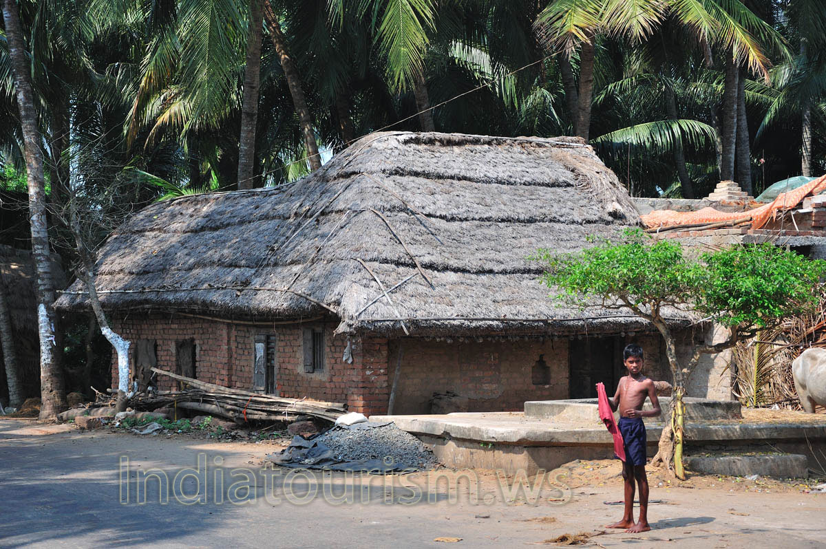Village house with a thatched roof