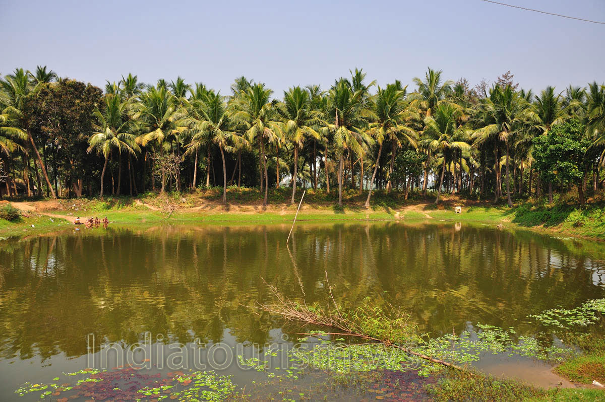 Small pool by the road