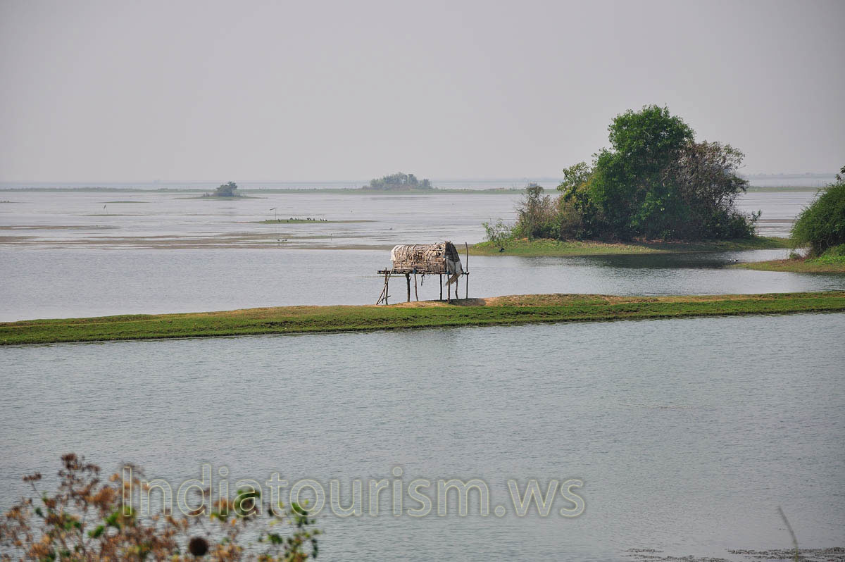 Straw house 'hanging' in the air