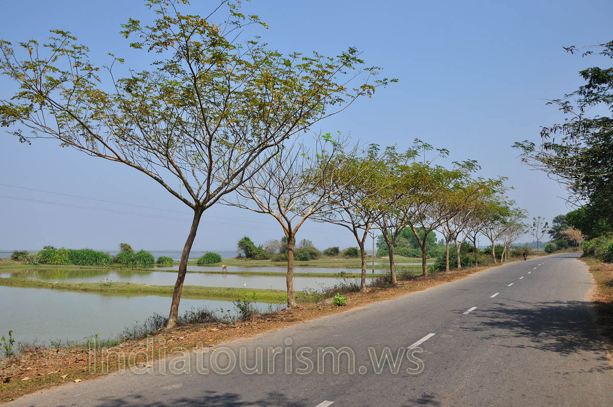 exotic road to Chilika lake