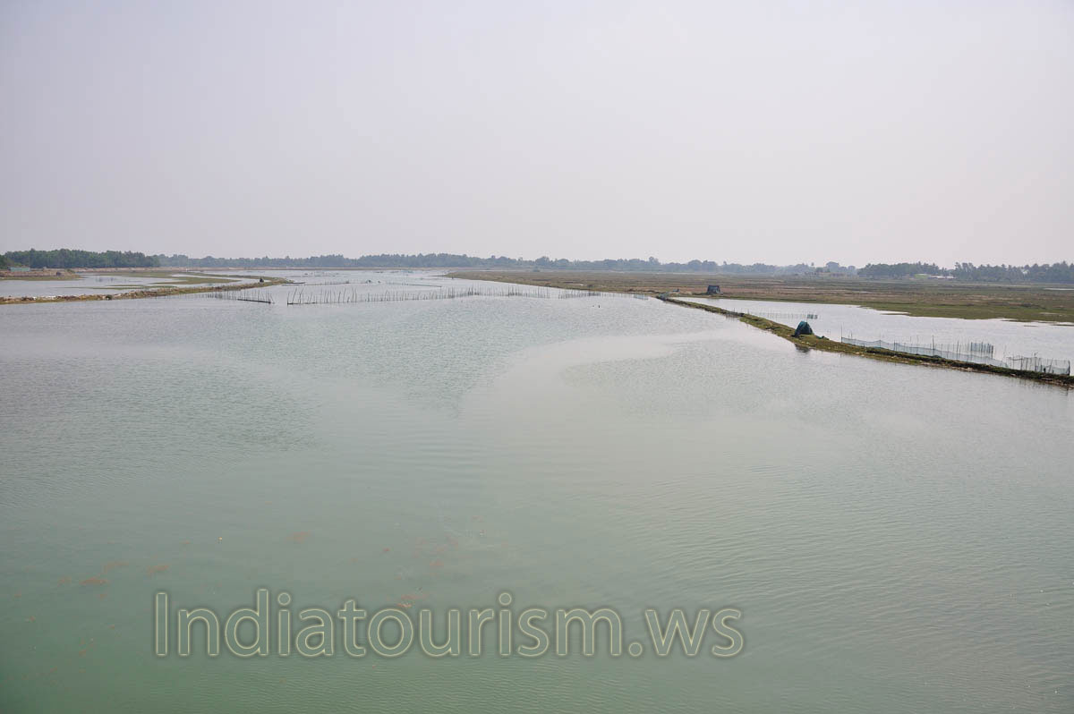 Water open spaces of Chilika lagoon