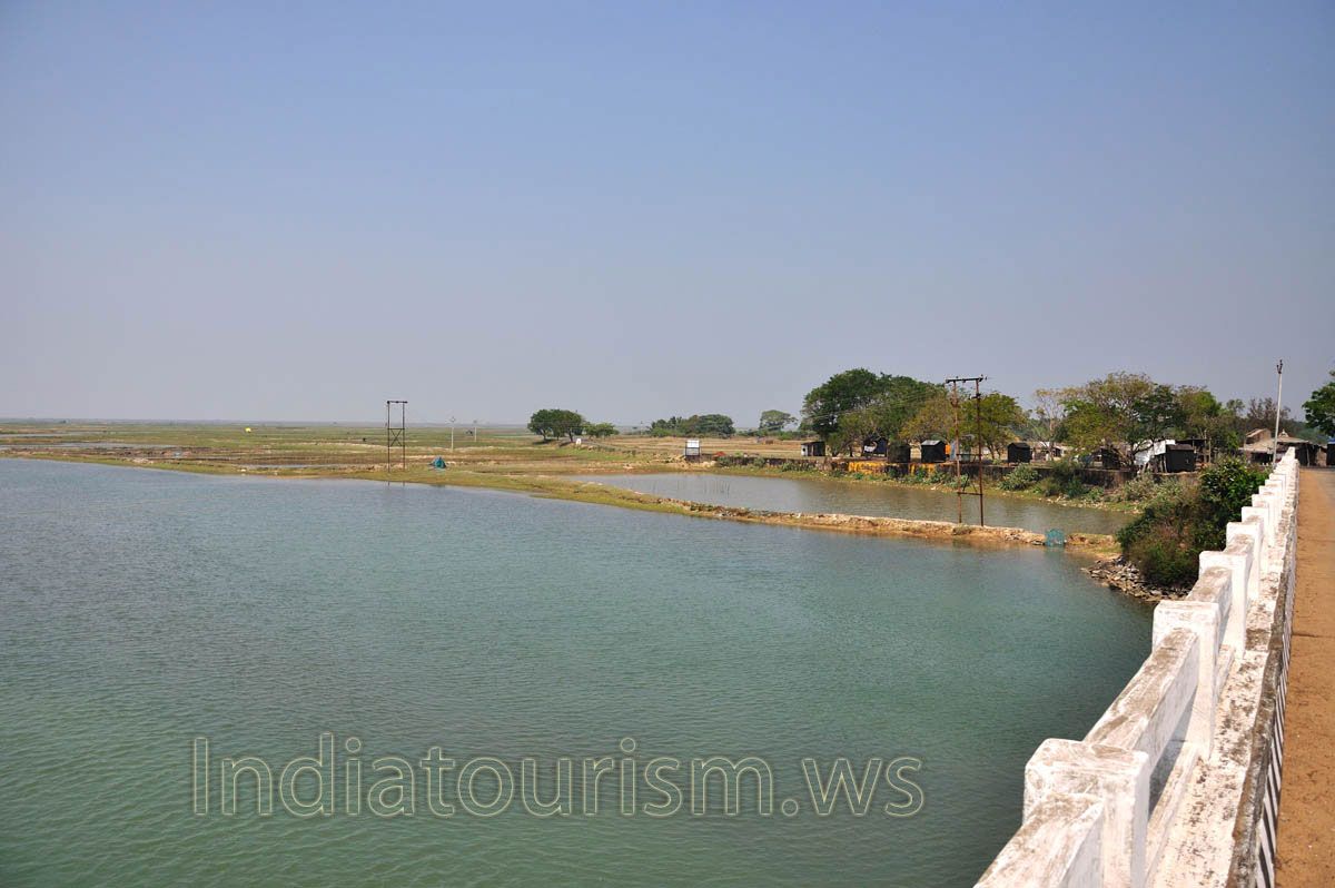 View from Brahmagiri bridge