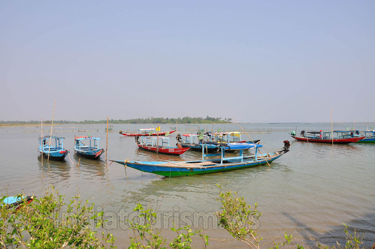 Boats on Chilika lake