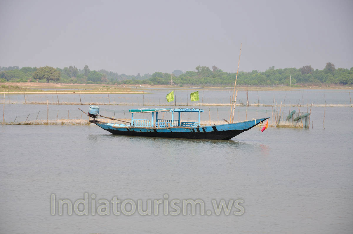 Boat is dominated by green flags