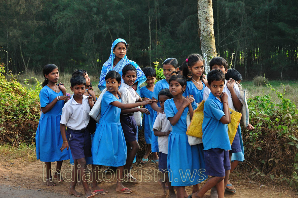 we have attracted the vivid interest