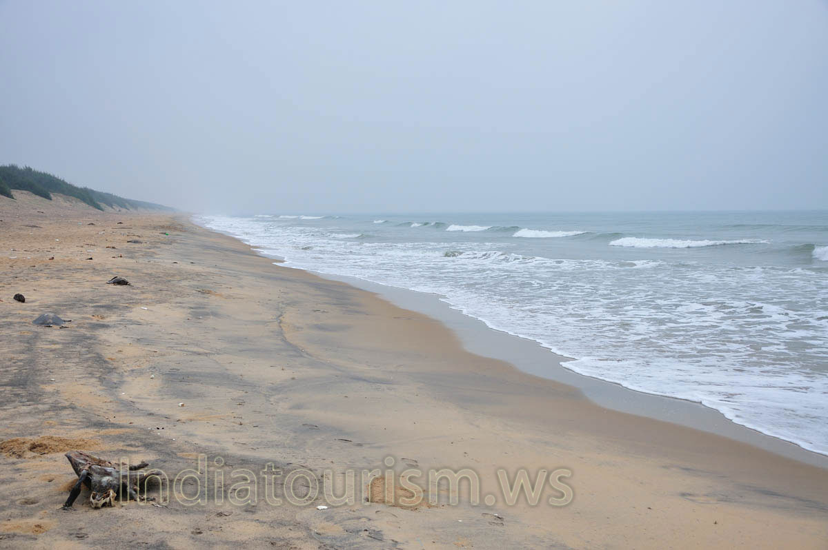 Beauty of the Empty beach