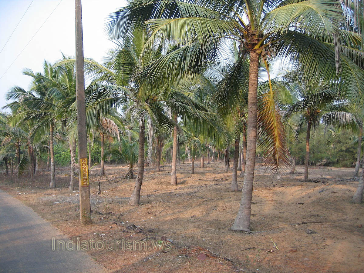 The inscription 'Rangers' is written on the concrete column