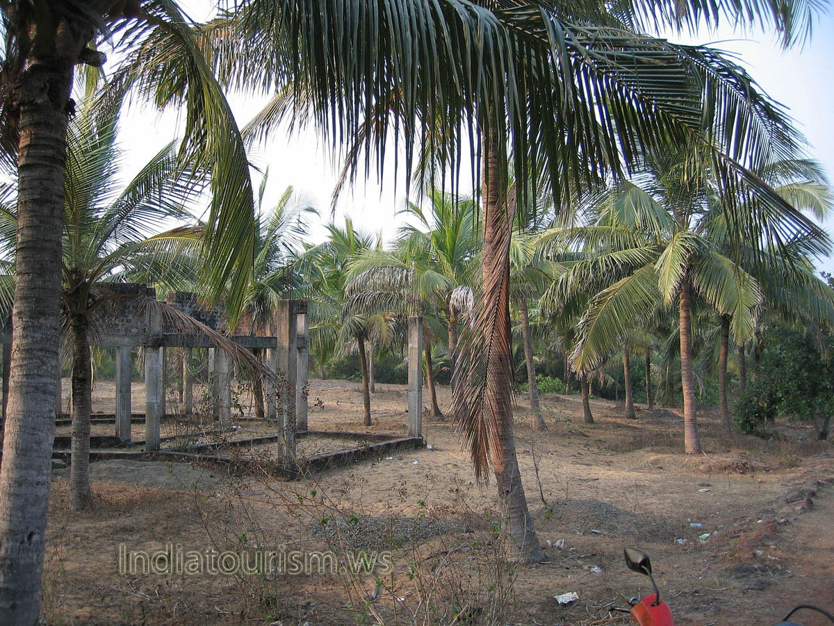 Unfinished construction among the coconut palms