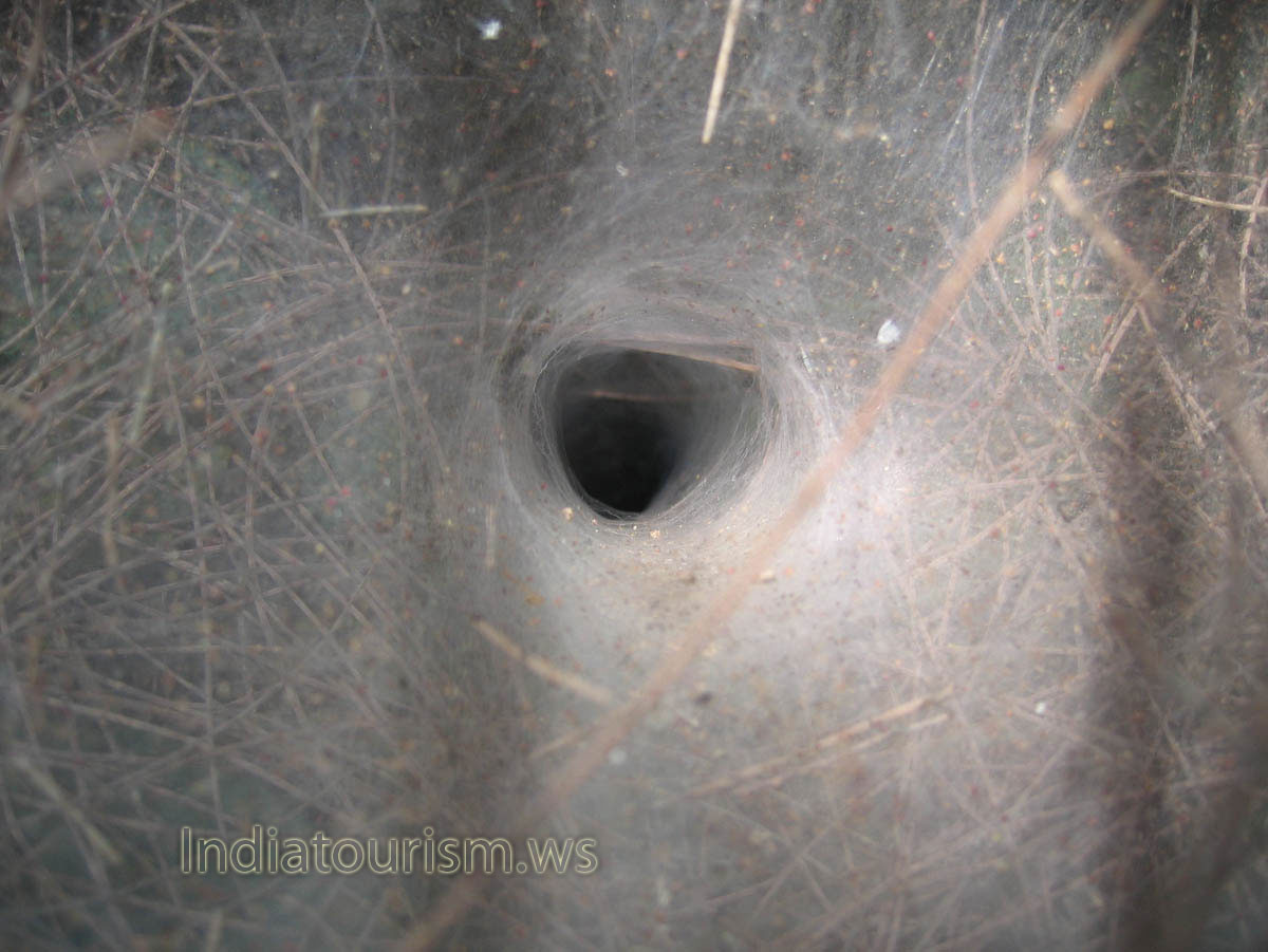 hole is made from very dense web
