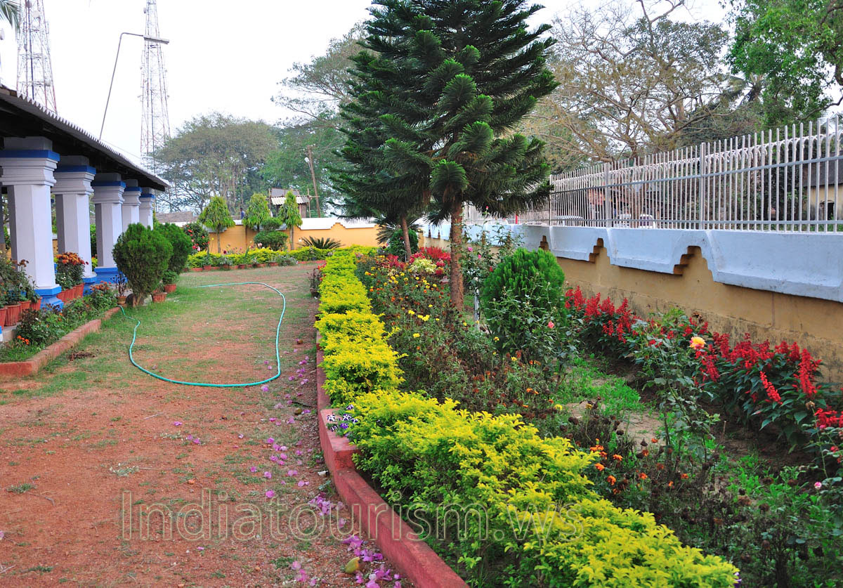 Here are abundance of flowers and exotic plants