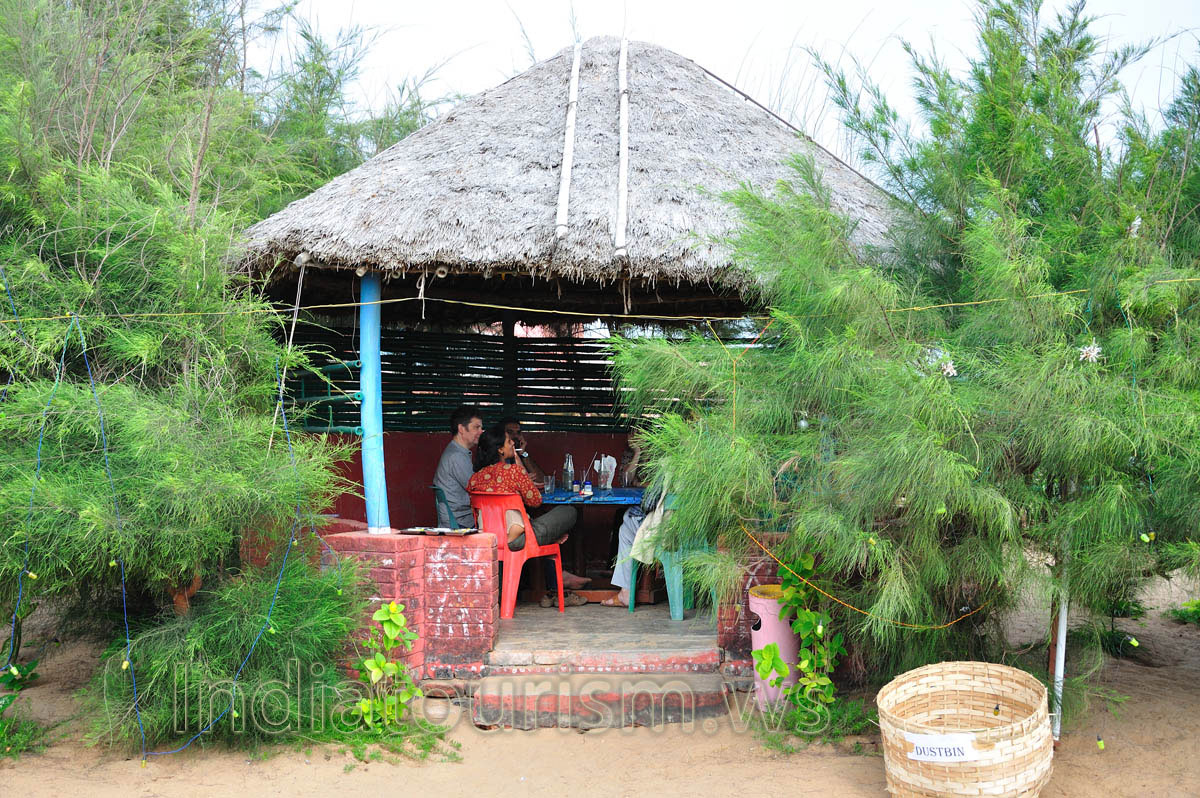 There are many green plants in the 'Pink House' restaurant