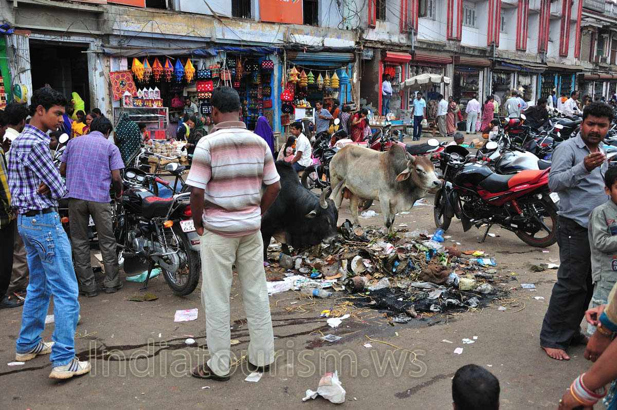 The garbage on the Bada Danda street