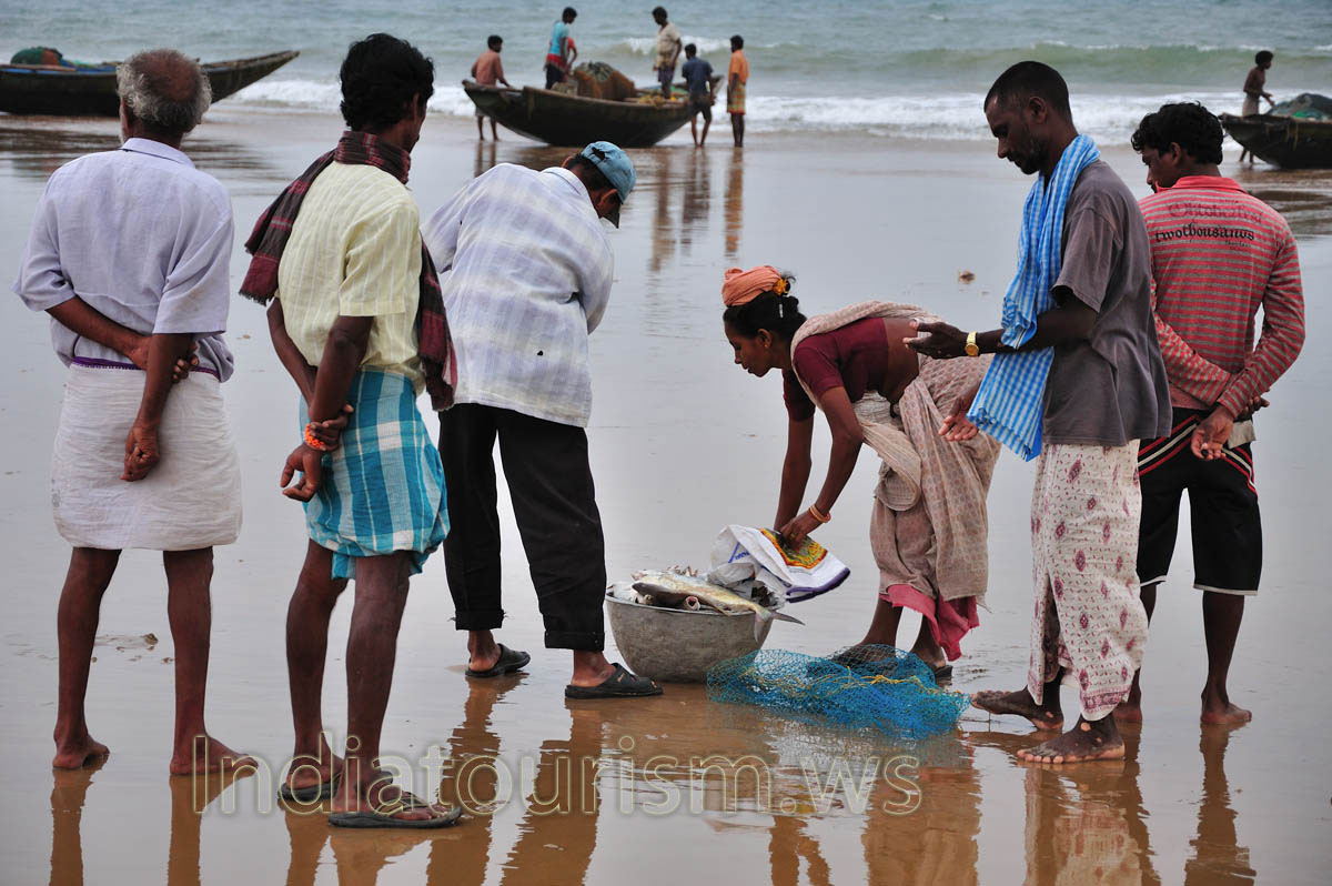 Here is the morning catch