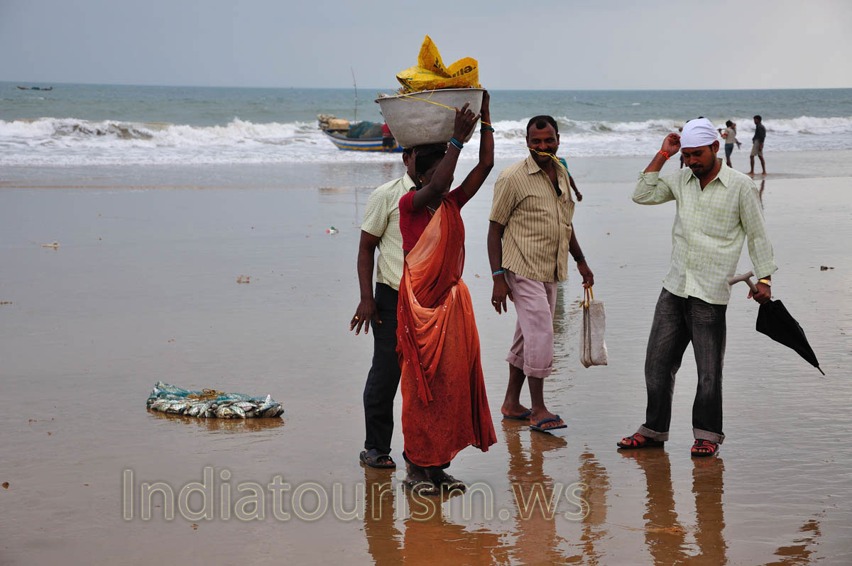 The women from the fishing village carry fish on their heads