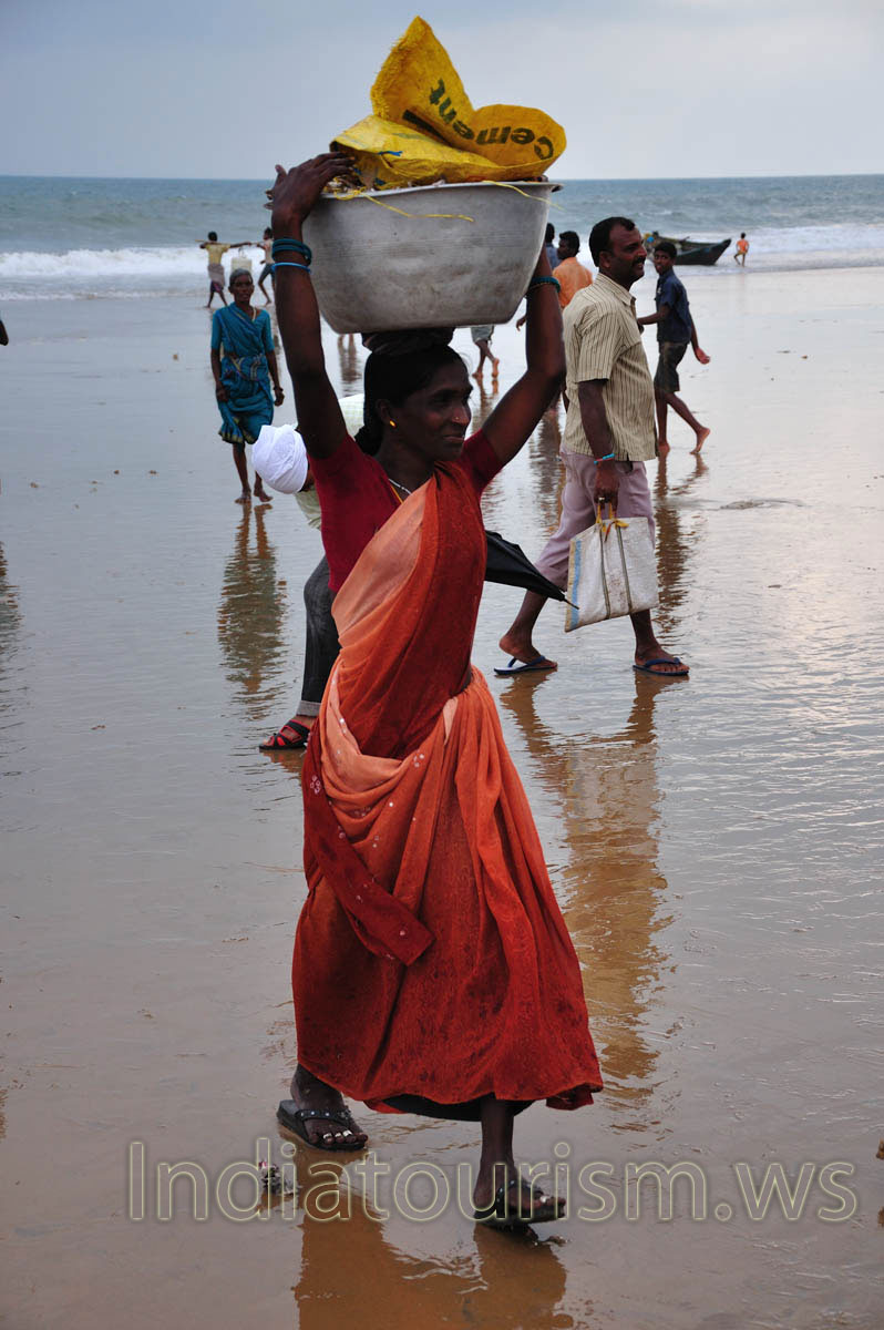 There is the good catch of fish