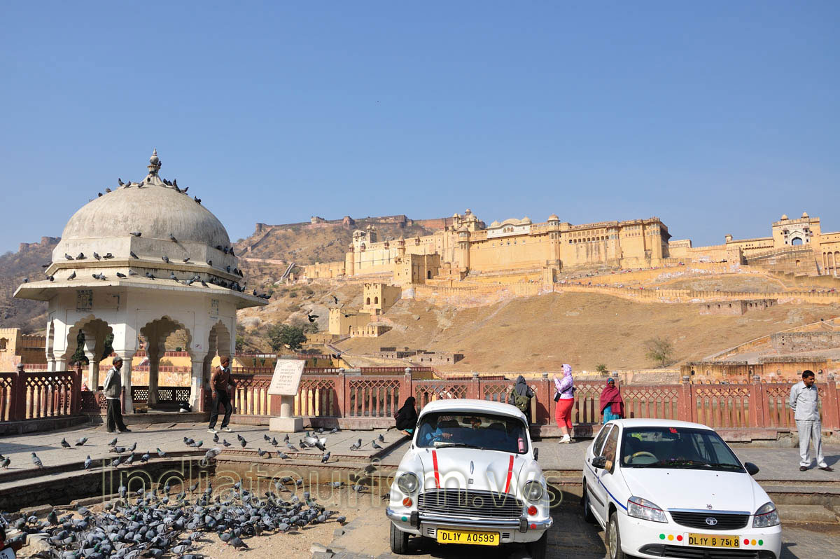Parking place near Amber Fort is full of pigeons