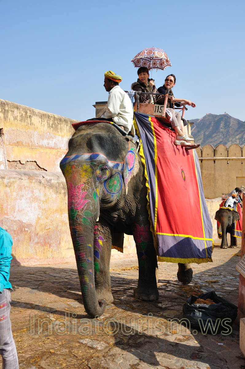 Korean women sit on the back of the elephant � 115