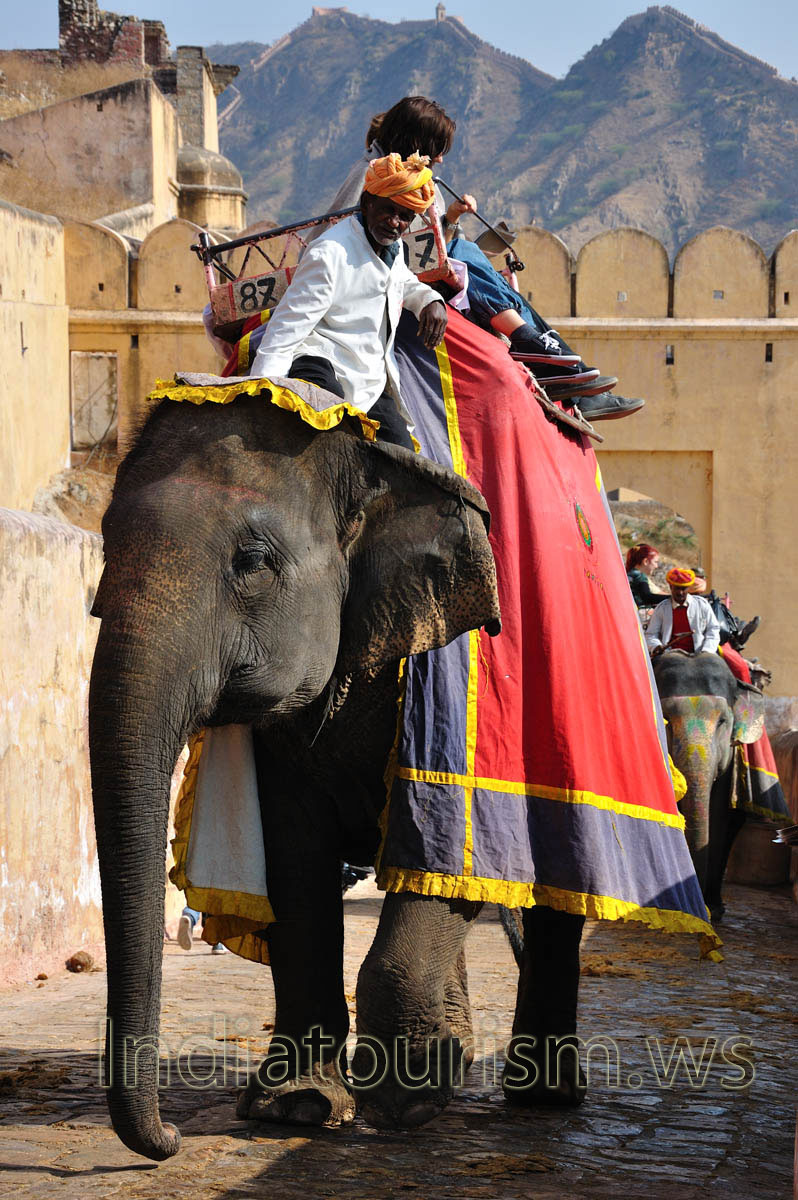 Tourists sit on the top of the elephant
