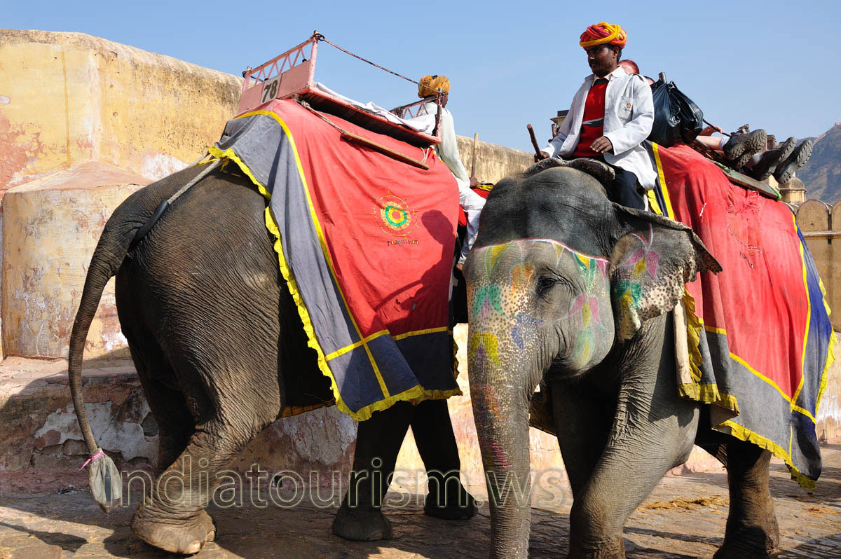 The elephant full of tourists goes up to the fort. The empty elephant goes down back.