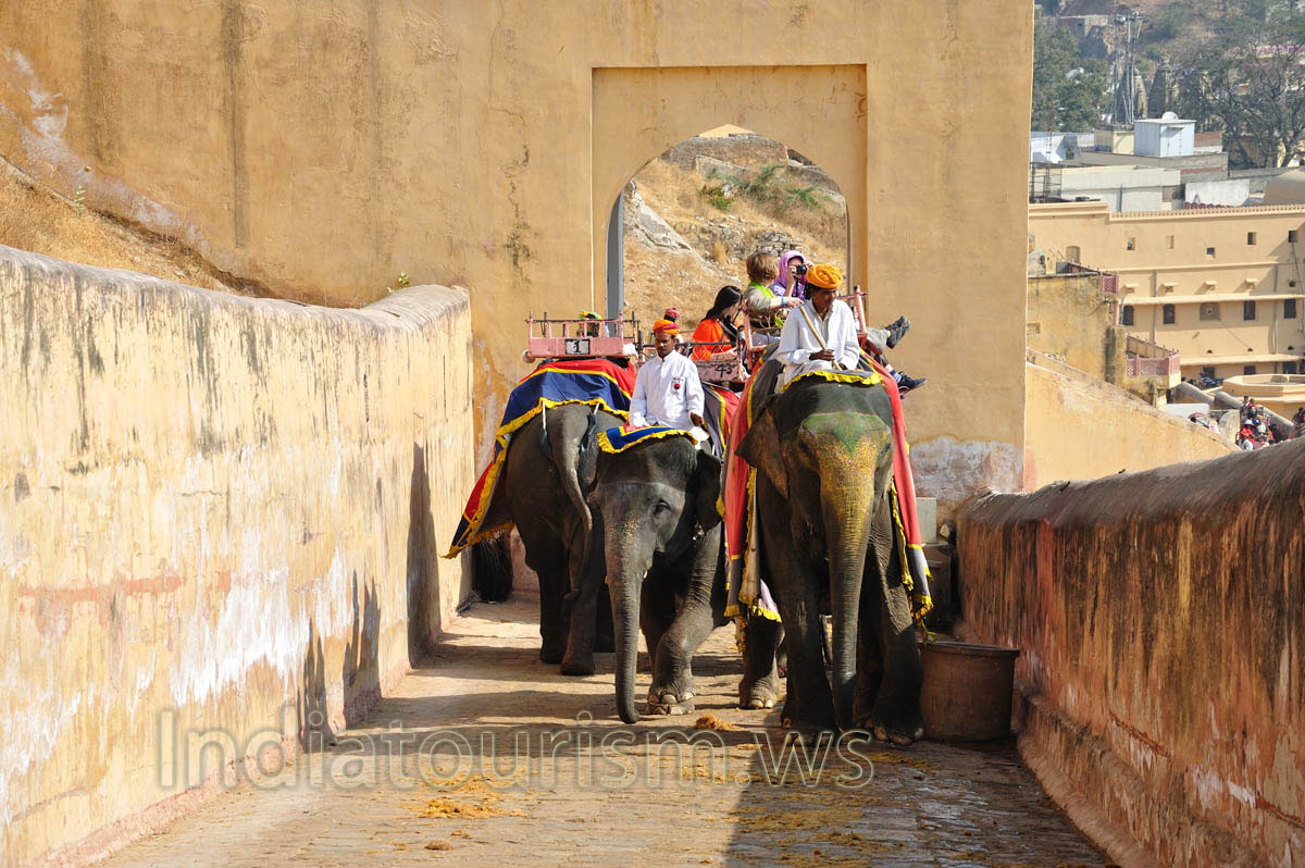 Elephant riding at Amber Fort