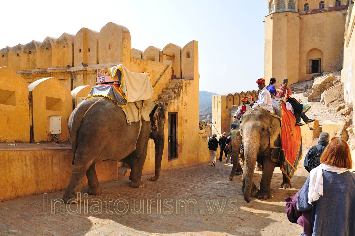 Elephant ride is full of turbulent emotions