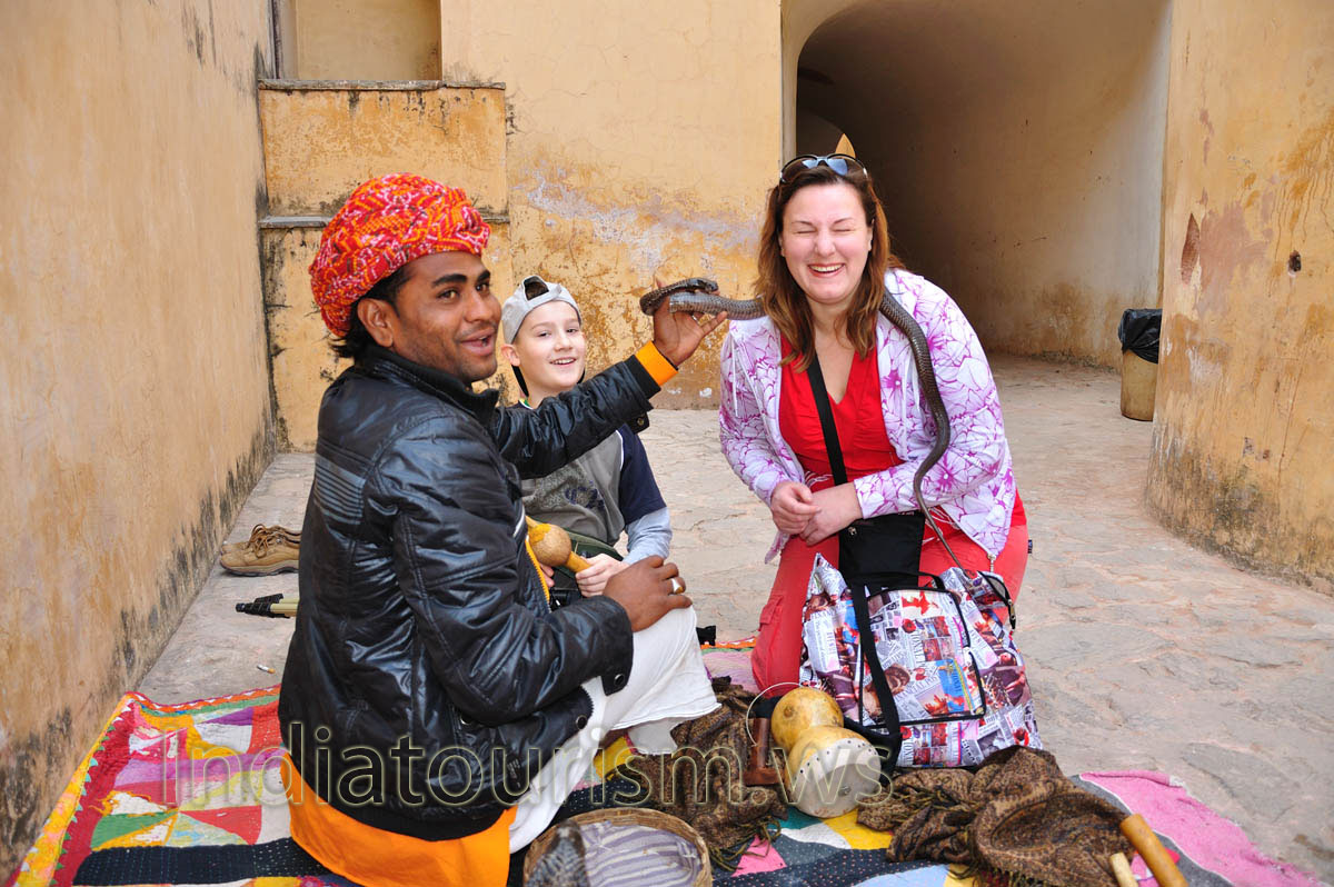 This scary cobra is not dangerous