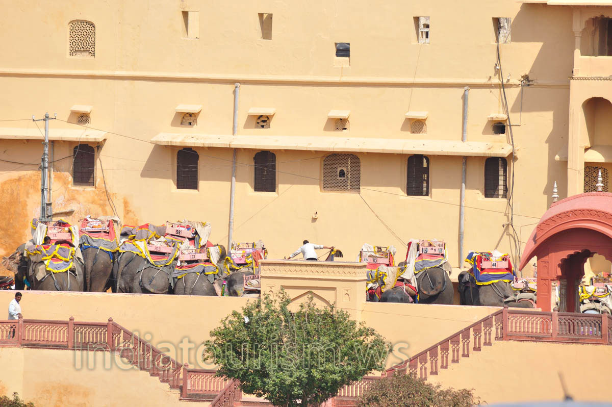 stall of the elephants working on the Amber Fort