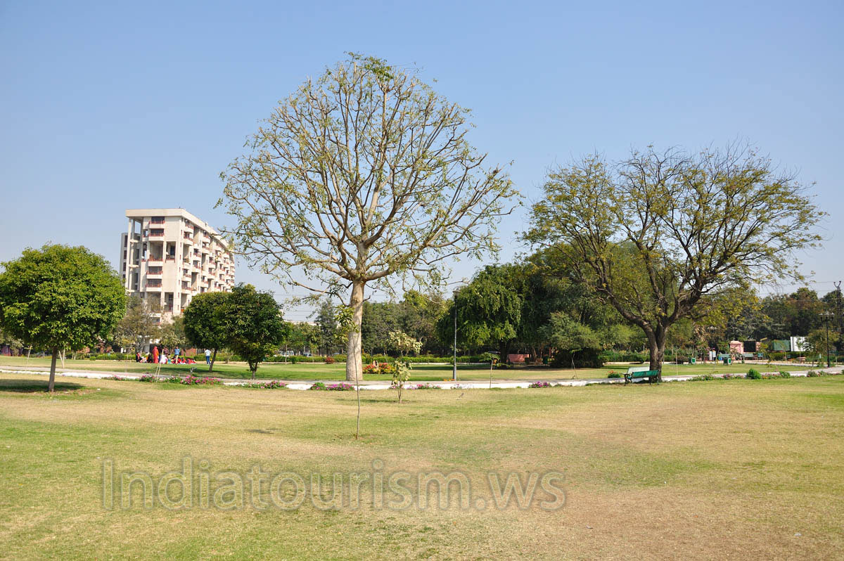 tropical trees of the Central Park