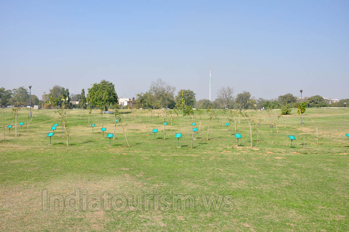 Some plants in the park are signed