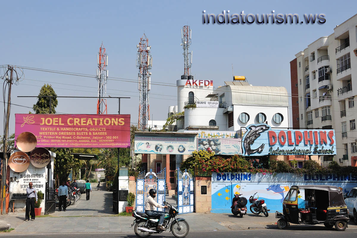 dolphins international school